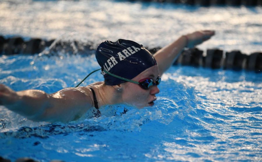 Shaler Area swimmers complete chaotic but successful season