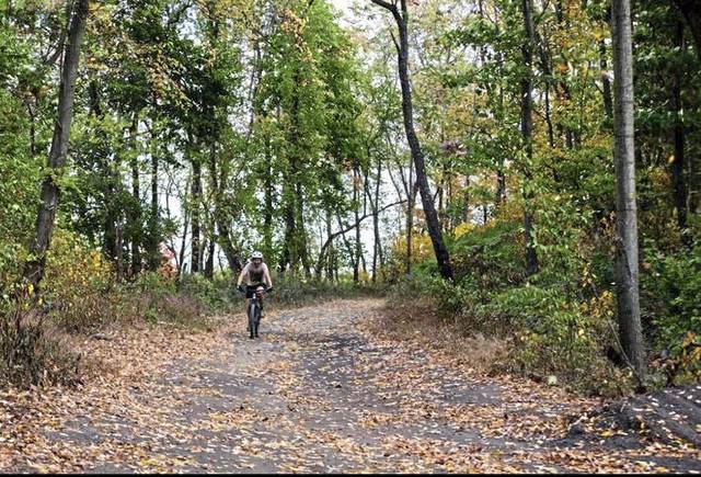 A section of the 155 acre Girtys Woods that was purchased by Allegheny Land Trust to keep it from being developed.