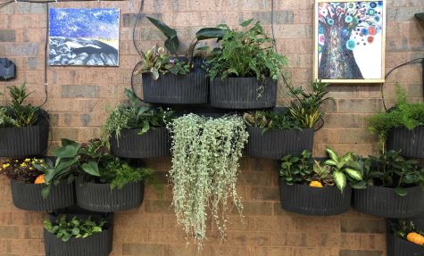 Living Wall gets a makeover