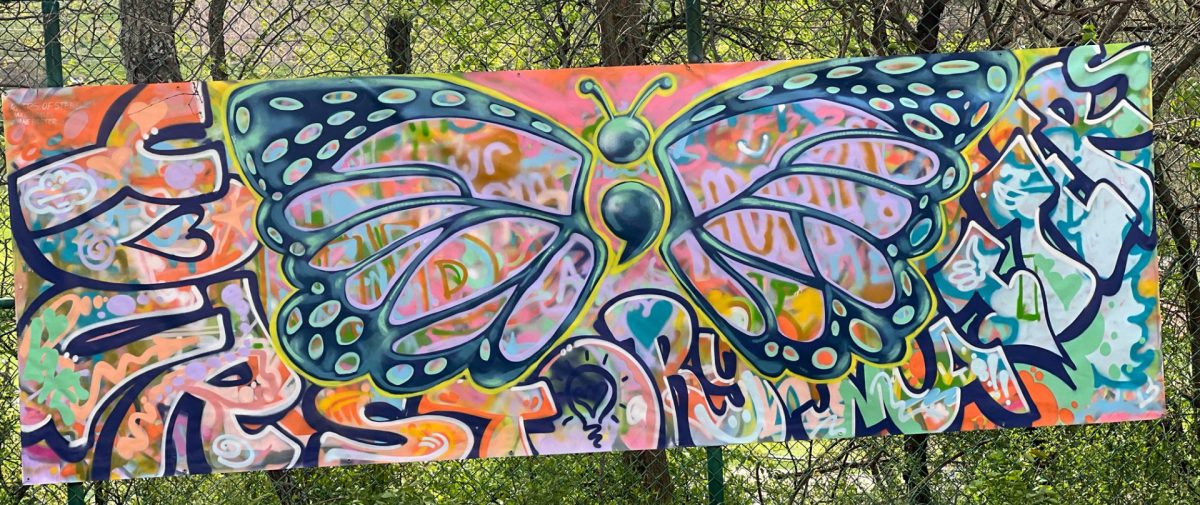 Graffiti butterfly created to help students' mental health