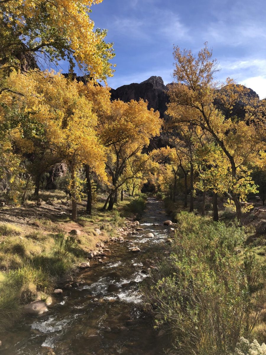 The scenery at Phantom Ranch 